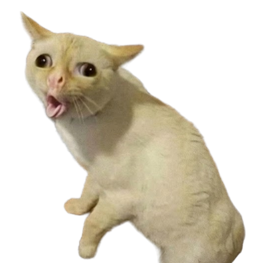 Bwerp cat